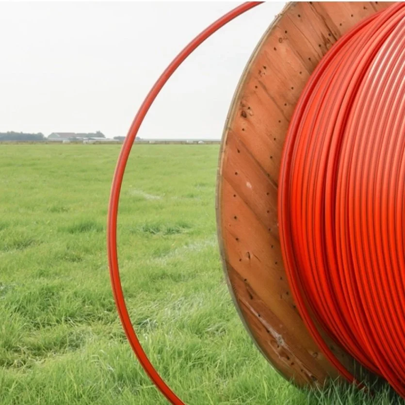 Lack of Broadband May Be Stifling Rural Louisiana Business