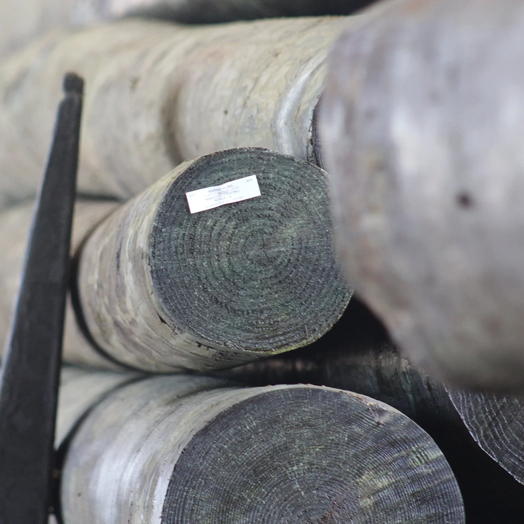 LSU AgCenter Researcher Helps to Secure $300,000 Matching Grant for Mass Timber Supply Chains