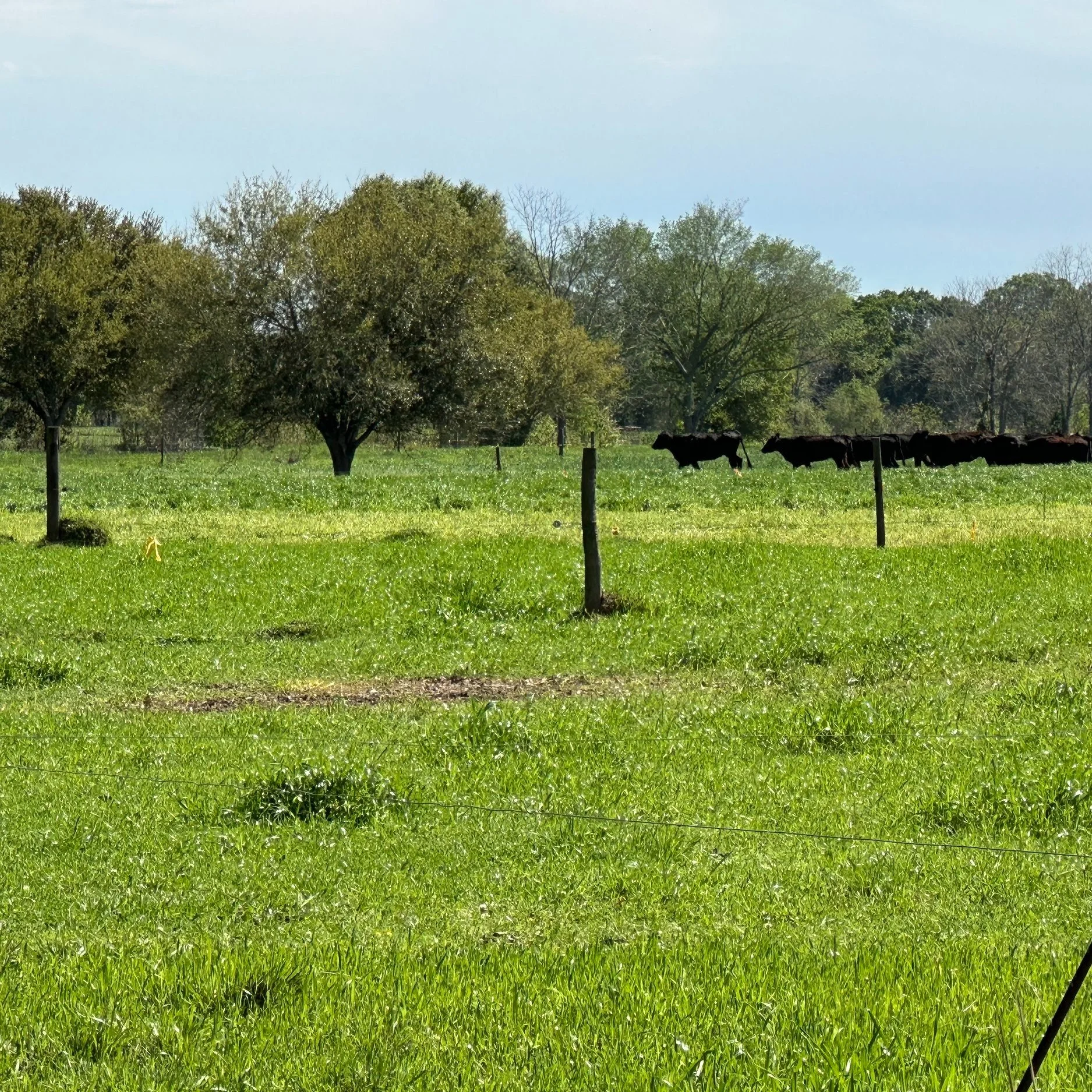 U.S. Agricultural Land Values and Cropland Cash Rents Reach Record Levels Amid Falling Commodity Prices