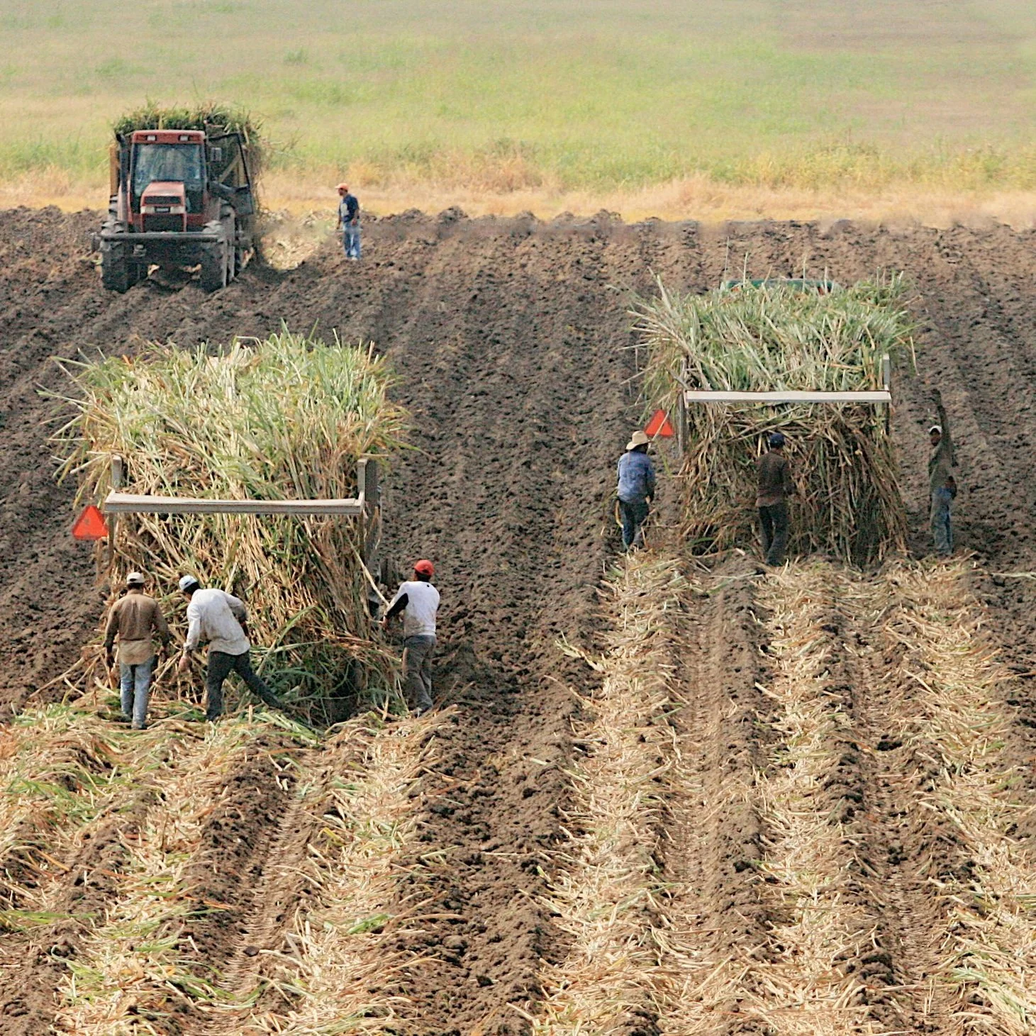 USDA Announces Fiscal Year 2025 Sugar Loan Rates, Allotment and Marketing Allocations