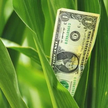 Halftime Report Observations in Farm Business