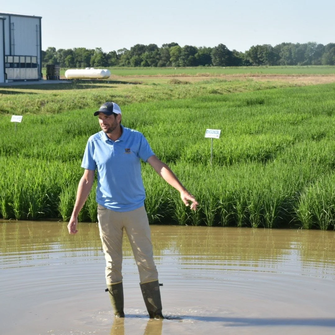 Best Management Practices For Rice To Be Featured At Field Day In Kaplan September 26
