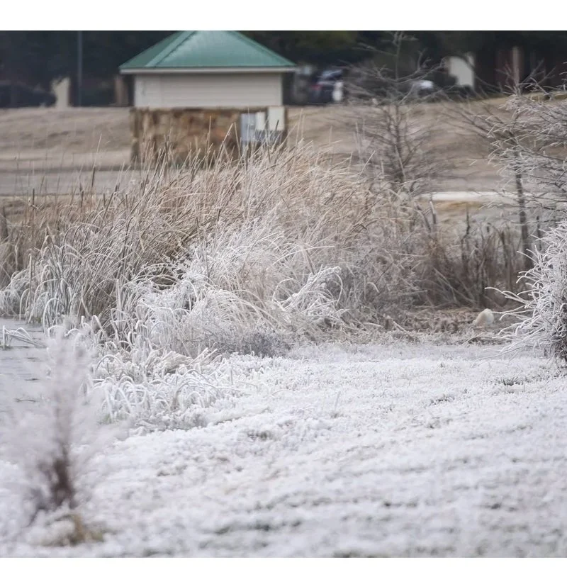 Farmers’ Almanac Winter Forecast for 2024-2025: Wet, Milder, Longer Season for Much of US