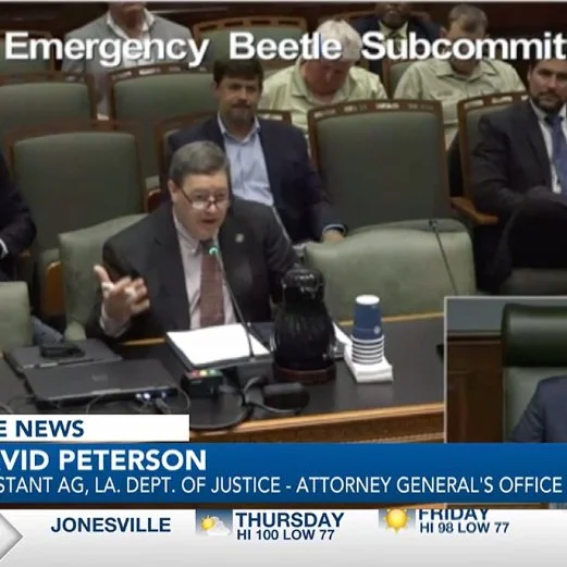 Louisiana’s Beetle Subcommittee Discusses Drought, Helping State Forestry