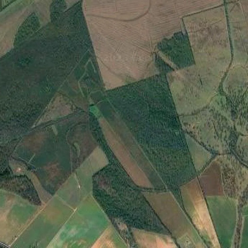 Louisiana's Six Largest Land Owners