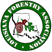 Louisiana Forestry Association Discusses Future as Recovery Continues After Devastating 2023 Wildfires