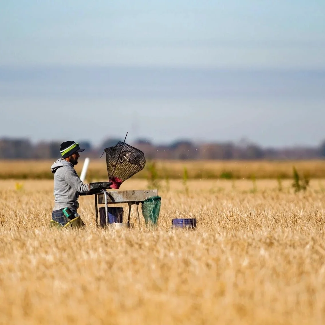 New OSHA Heat Proposals are a Warning for Employers