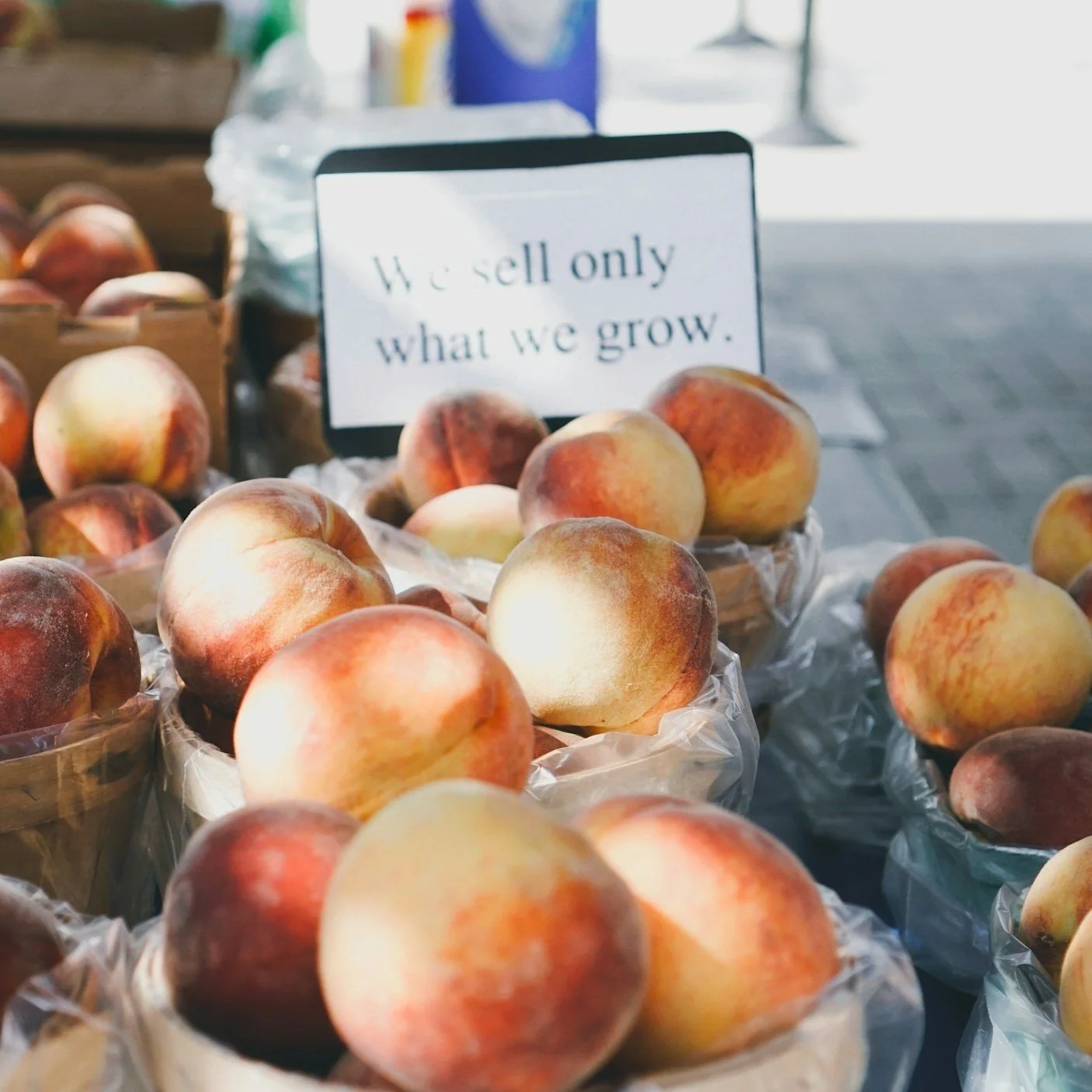 Ruston Farmers Market to Host Annual Autumn Dinner October 3rd