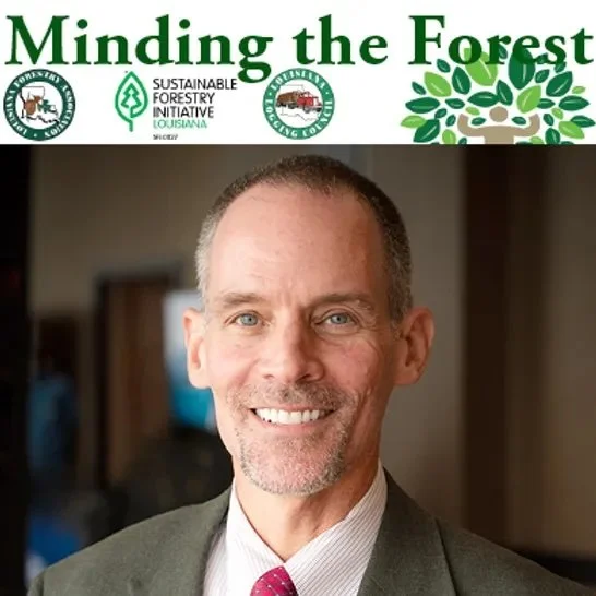 Minding the Forest: Louisiana's Forest Economy