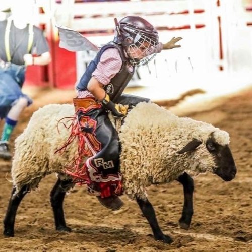 The West Louisiana Forestry Festival is Back