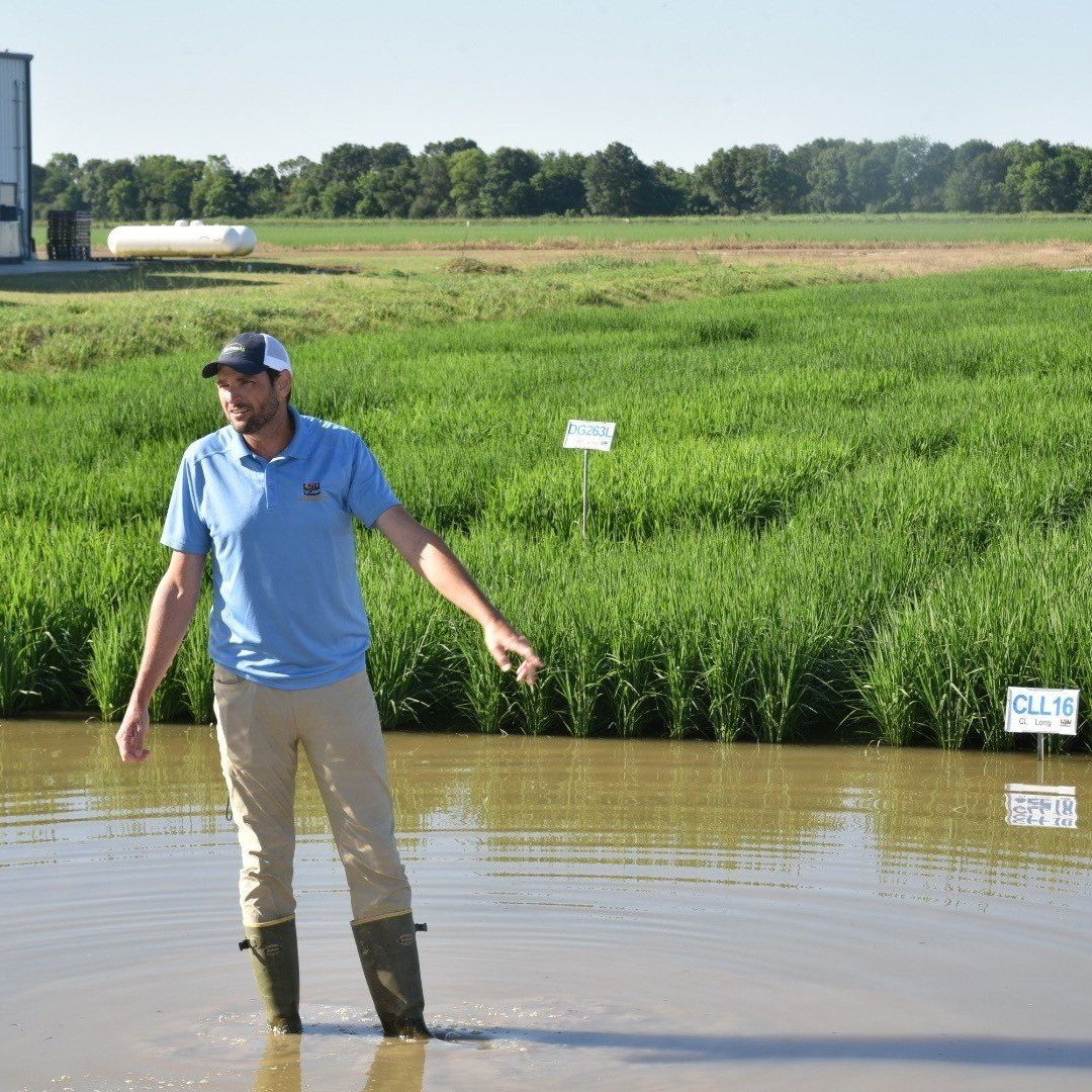 2025 Rice Technical Working Group Meeting