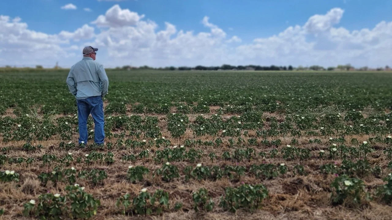 Farm Losses Mounting, Projected To Get Worse