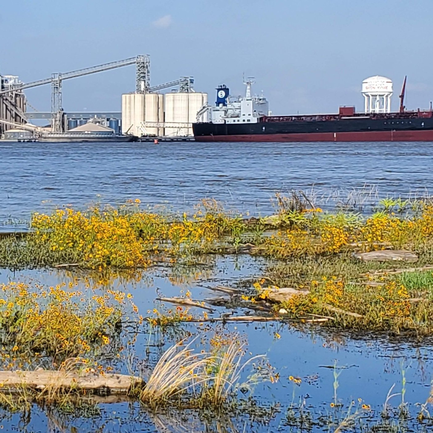 Workers At Baton Rouge Port Join Nationwide Dockworker Strike