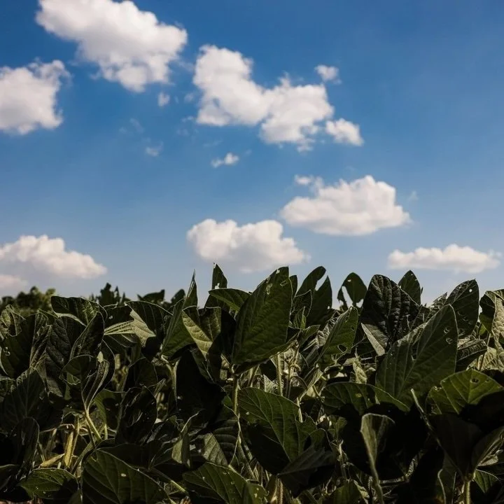 How to Negotiate With Your Ag Lender and Win