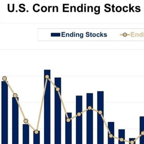 Louisiana Crop Market Update: October 2024