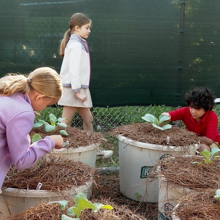 Cool Schools: L. Leo Judice Elementary Promotes Environmental Responsibility With Hands-On Learning