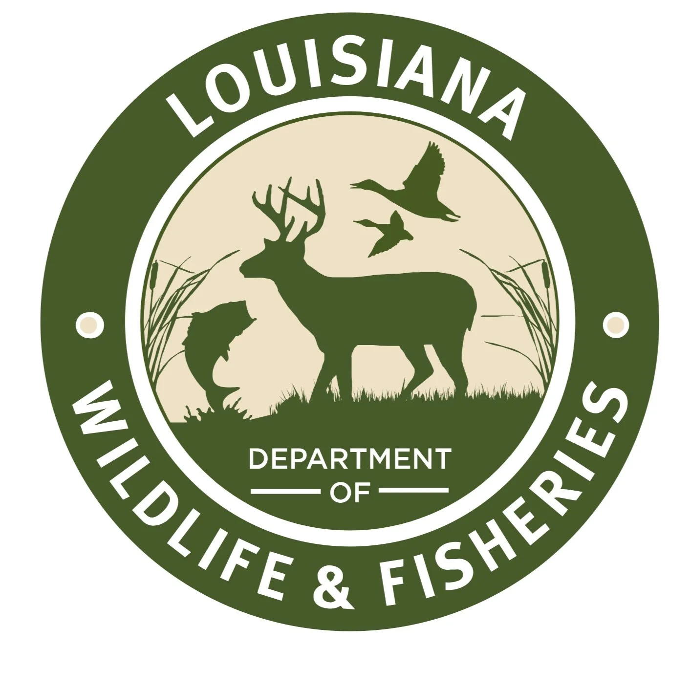 LDWF Agents Cite Two Men for Deer Hunting Violations in Rapides Parish