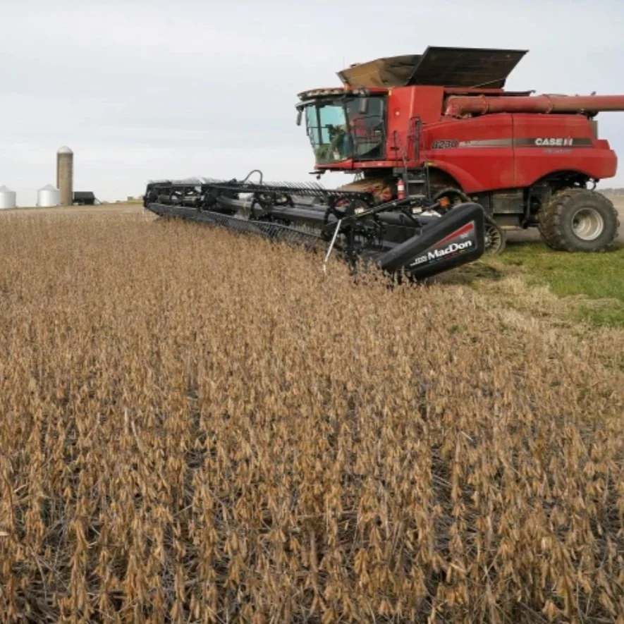 Trump Trade Policy Seen As Wild Card for U.S. Soybean Farmers, Opportunity for Crushers