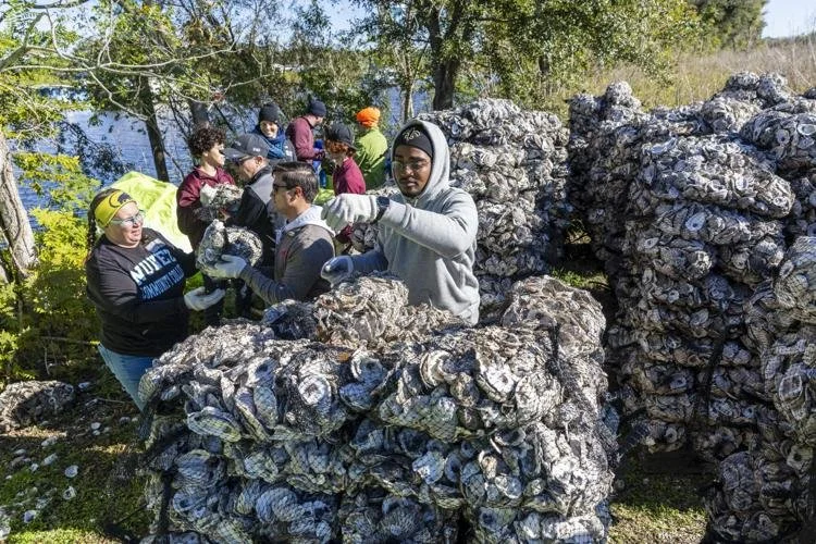 NFL Will Help Build ‘Living Reef’ From Oyster Shells to Fight Louisiana Coastal Erosion