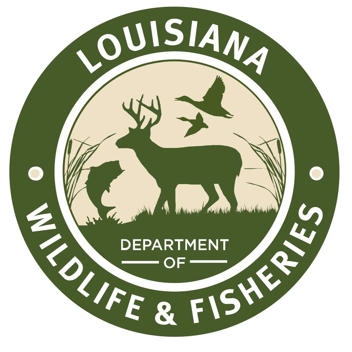 Agents Cite Three Subjects for Hunting Deer During Illegal Hours in Lincoln and Union Parishes