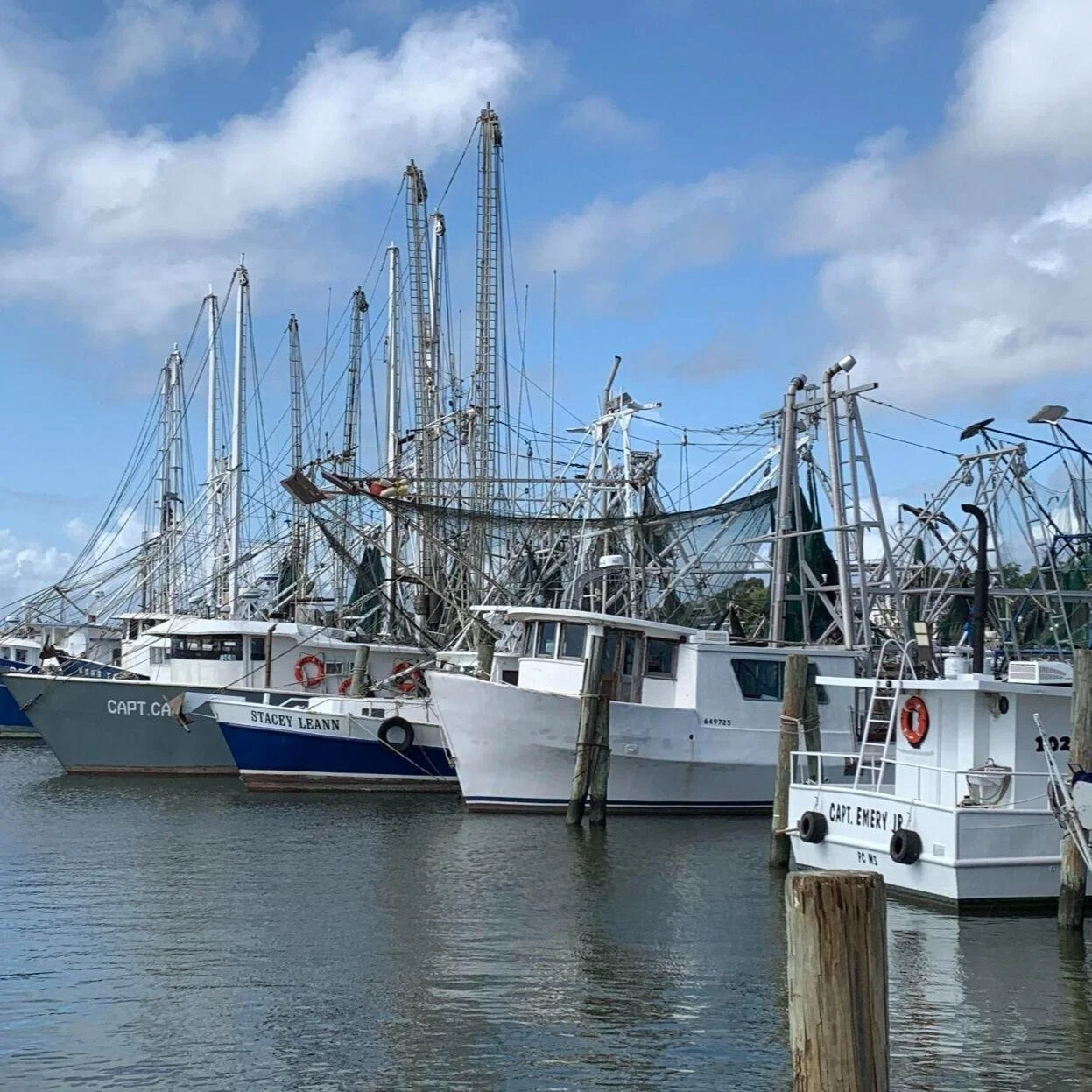 'Tariffs Not Enough' to Save U.S. Shrimping Industry
