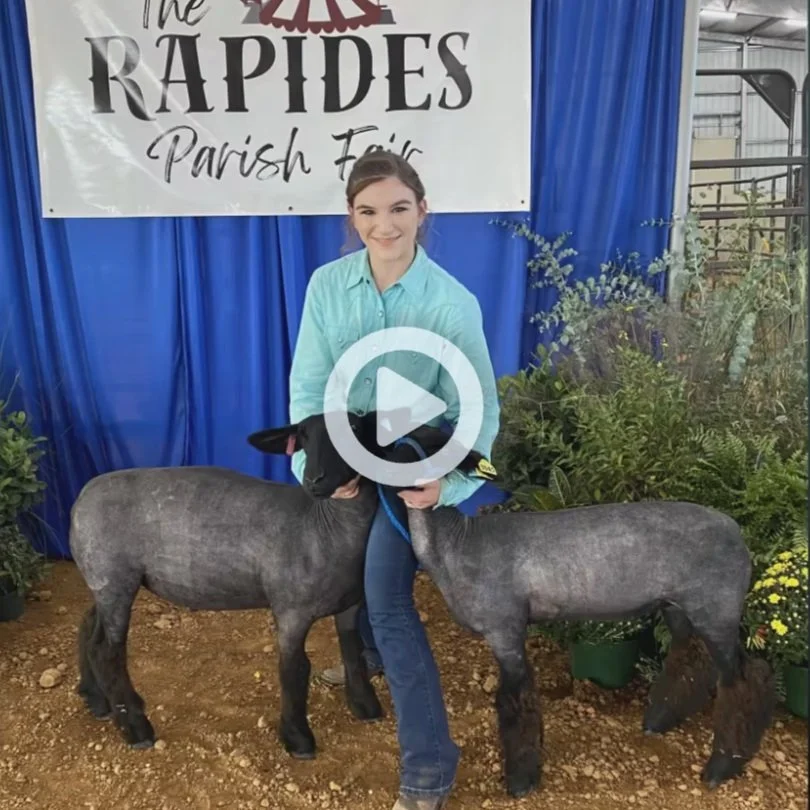 Coming Soon: The LSU AgCenter &amp; 4-H Livestock Show