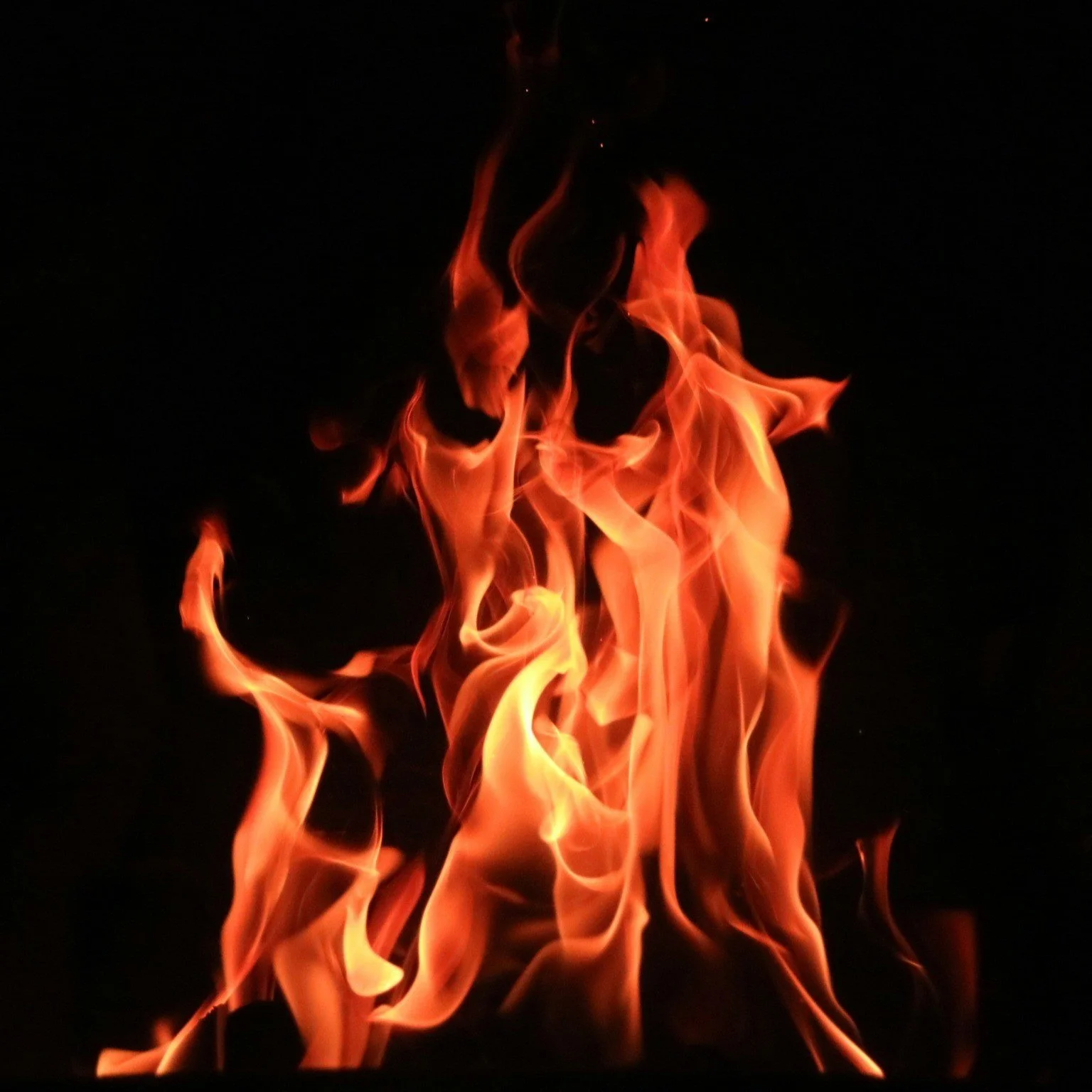 Is Louisiana Prepared to Fight its Next Wildfire Outbreak as Los Angeles Burns?