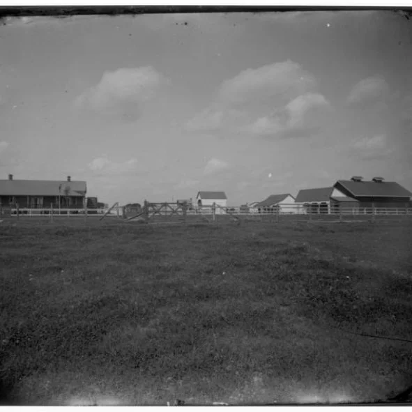 Foundations Of AgCenter Research Program Laid By Three Original Experiment Stations