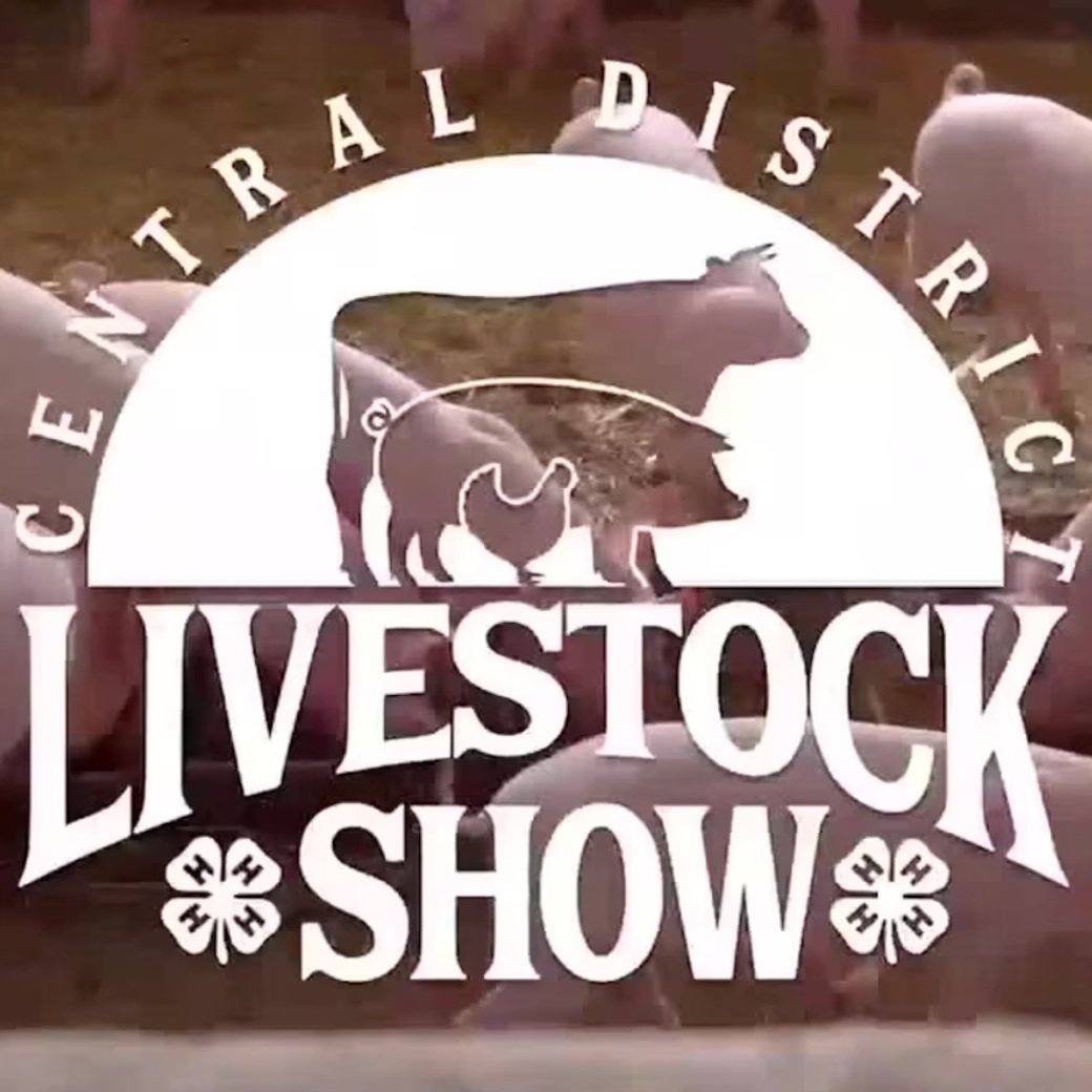 4-H District Livestock Show 2024-25