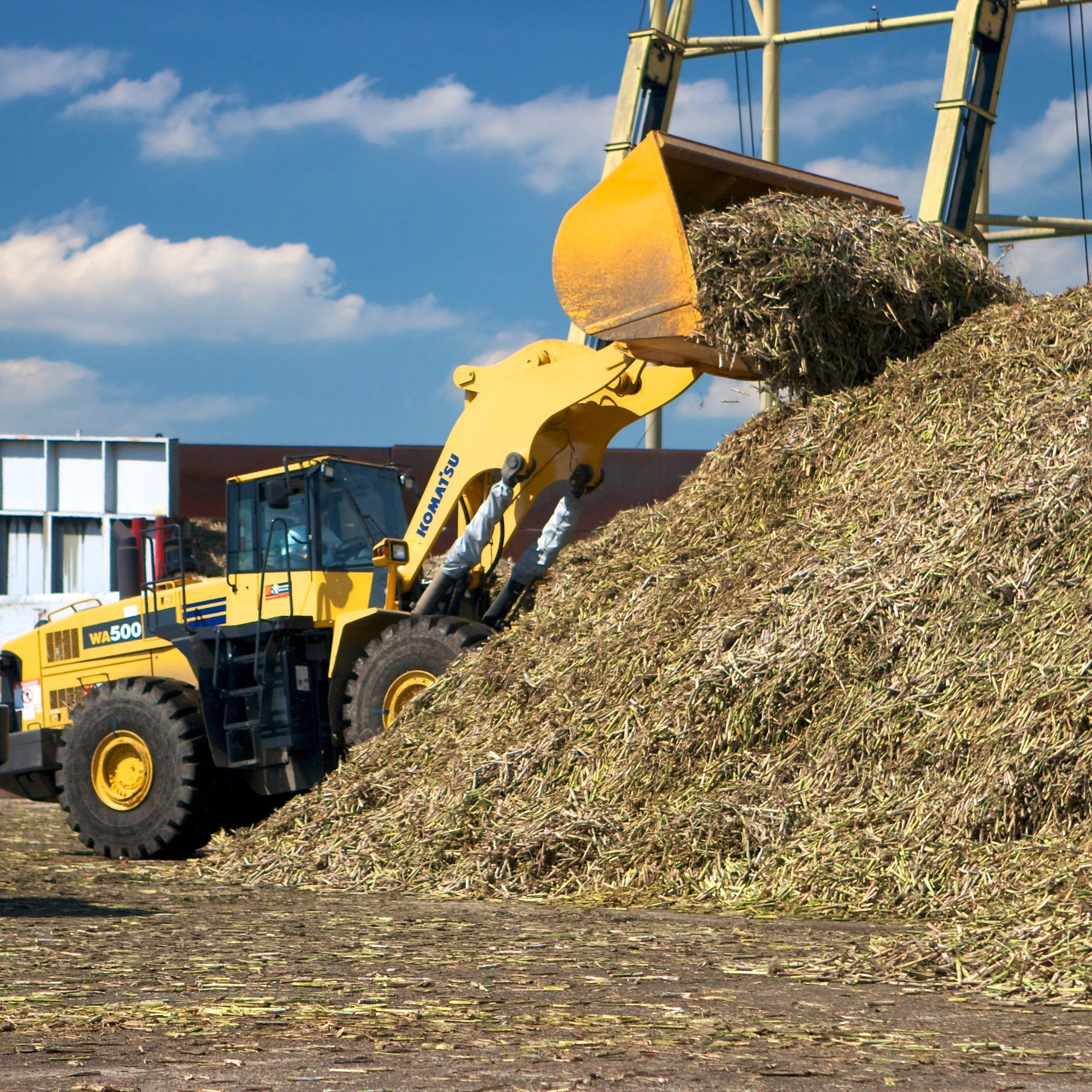 America’s Sugar Crop Farmers, Workers Urge Swift Senate Confirmation of Brooke Rollins