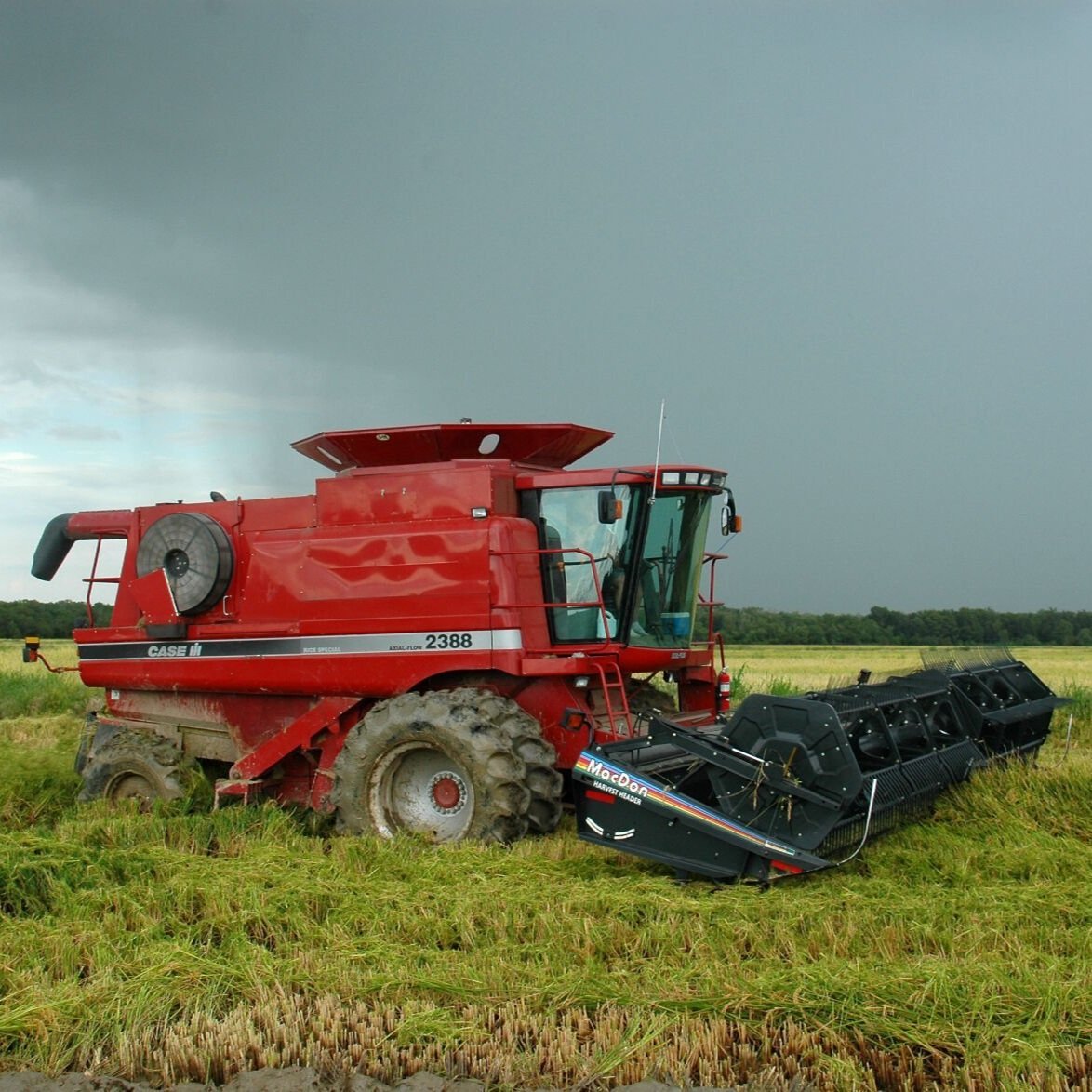 Advocate Editorial: La. Rice Farmers are Collateral Damage in Fight Over USAID