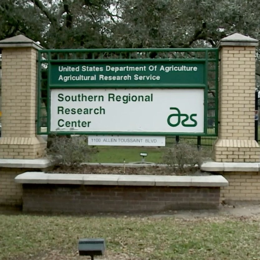 Federal Government Layoffs Start at USDA's Research Center in New Orleans