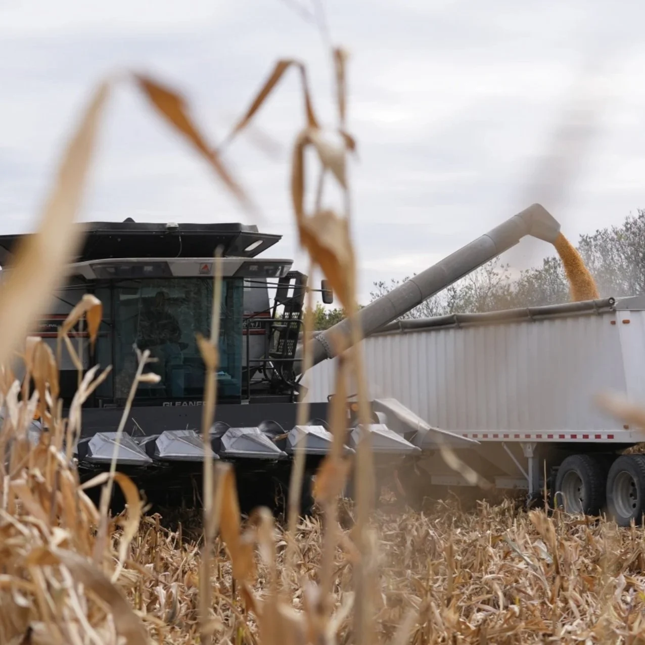 ‘Bear With Me,’ Trump Says as Both Farmers and Consumers Brace for Tariff Effects
