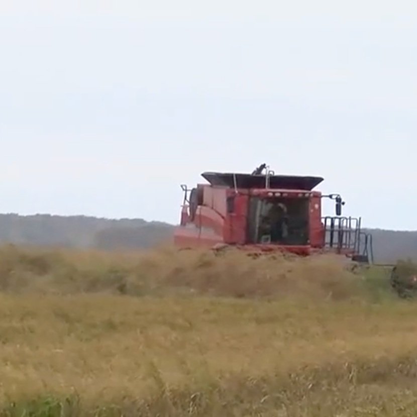 SW LA Farmers Feel 'Uncertain' On What To Plant As Tariffs Remain Unknown