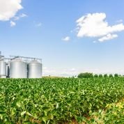 Net Farm Income Projected to Rise; For Some