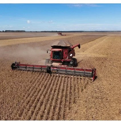 Brazil’s Soybean Production Grows 50% in 10 Years
