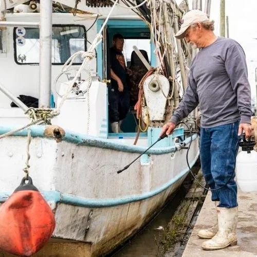 Louisiana Shrimp Industry Celebrates Trump Tariffs. 'We Can't Live Like This Anymore.'