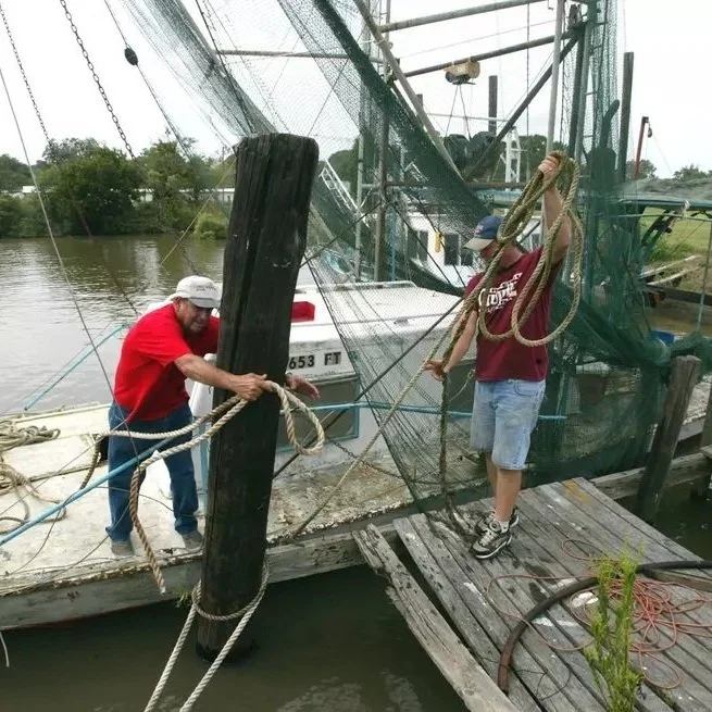 Louisiana Lawmakers Take Aim at Dangerous Seafood Loophole