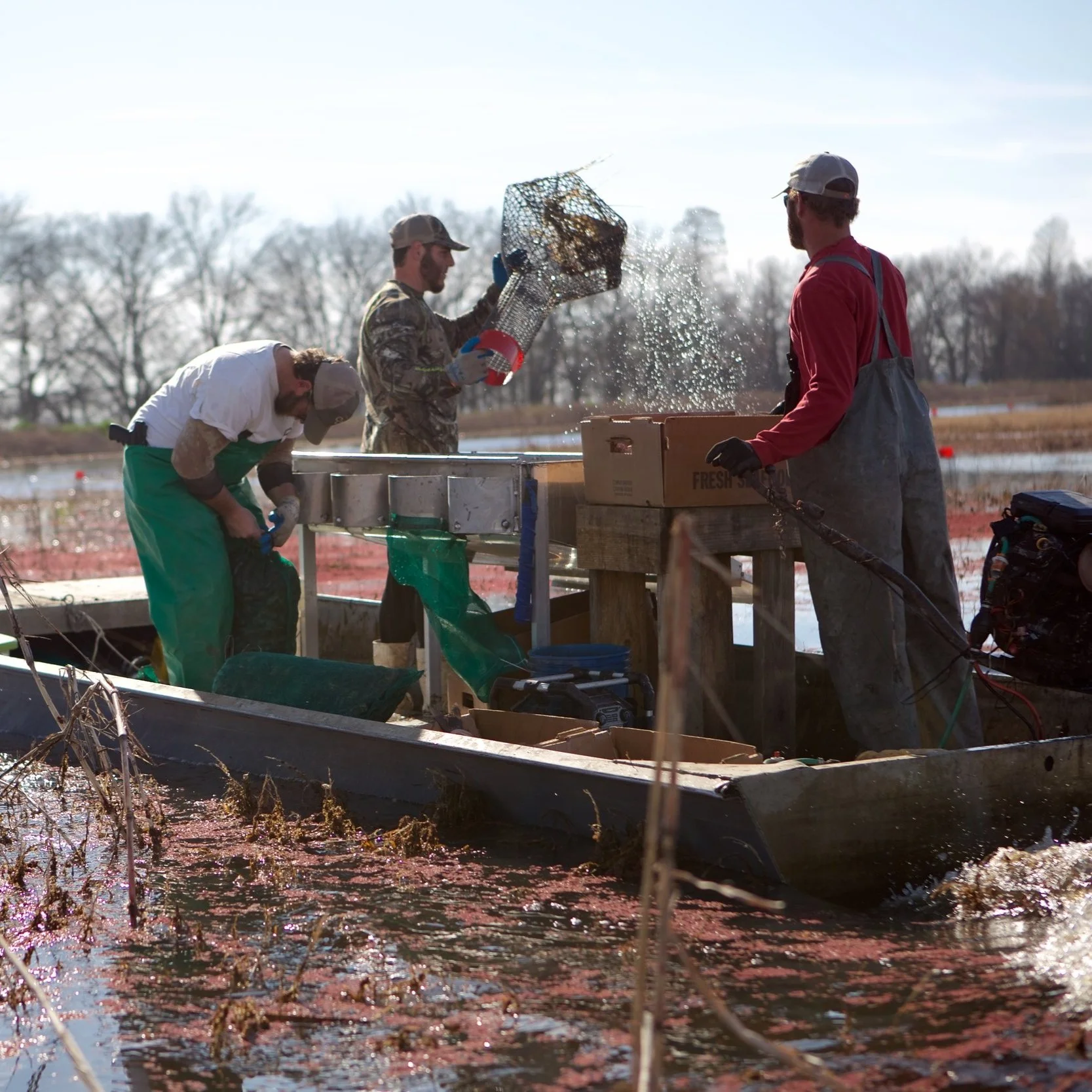 American Food Producers Welcome Trade Deals, Call for Targeted Tariffs to Increase Food Security