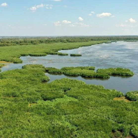 Louisiana CPRA Highlights 106 Active Coastal Projects at May Board Meeting