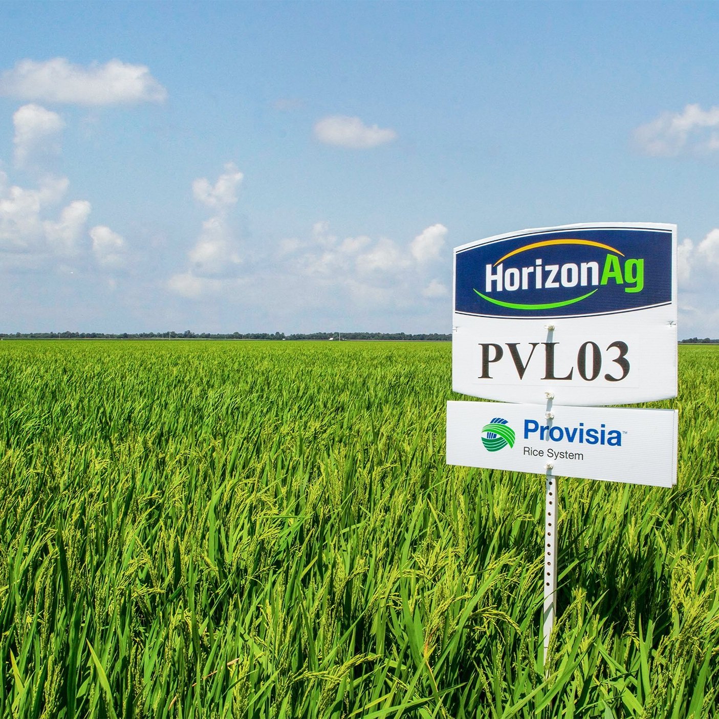 2025 Horizon Ag Louisiana Field Day Set for June 23
