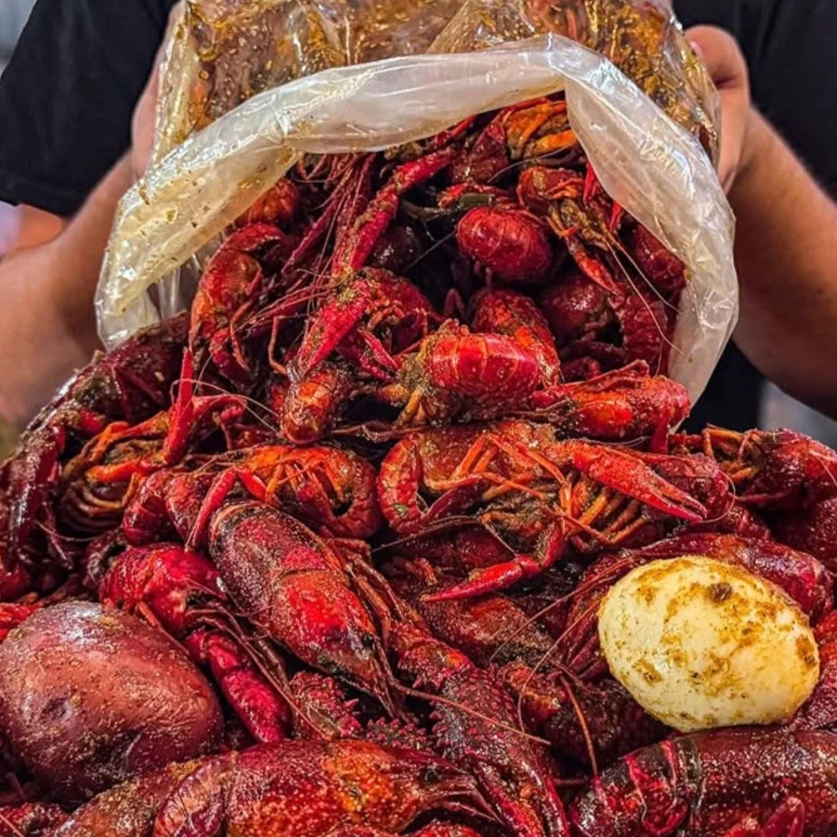 Louisiana Crawfish Prices Dropping at Start of Lent