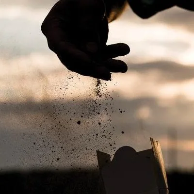 What Regenerative Agriculture Really Means