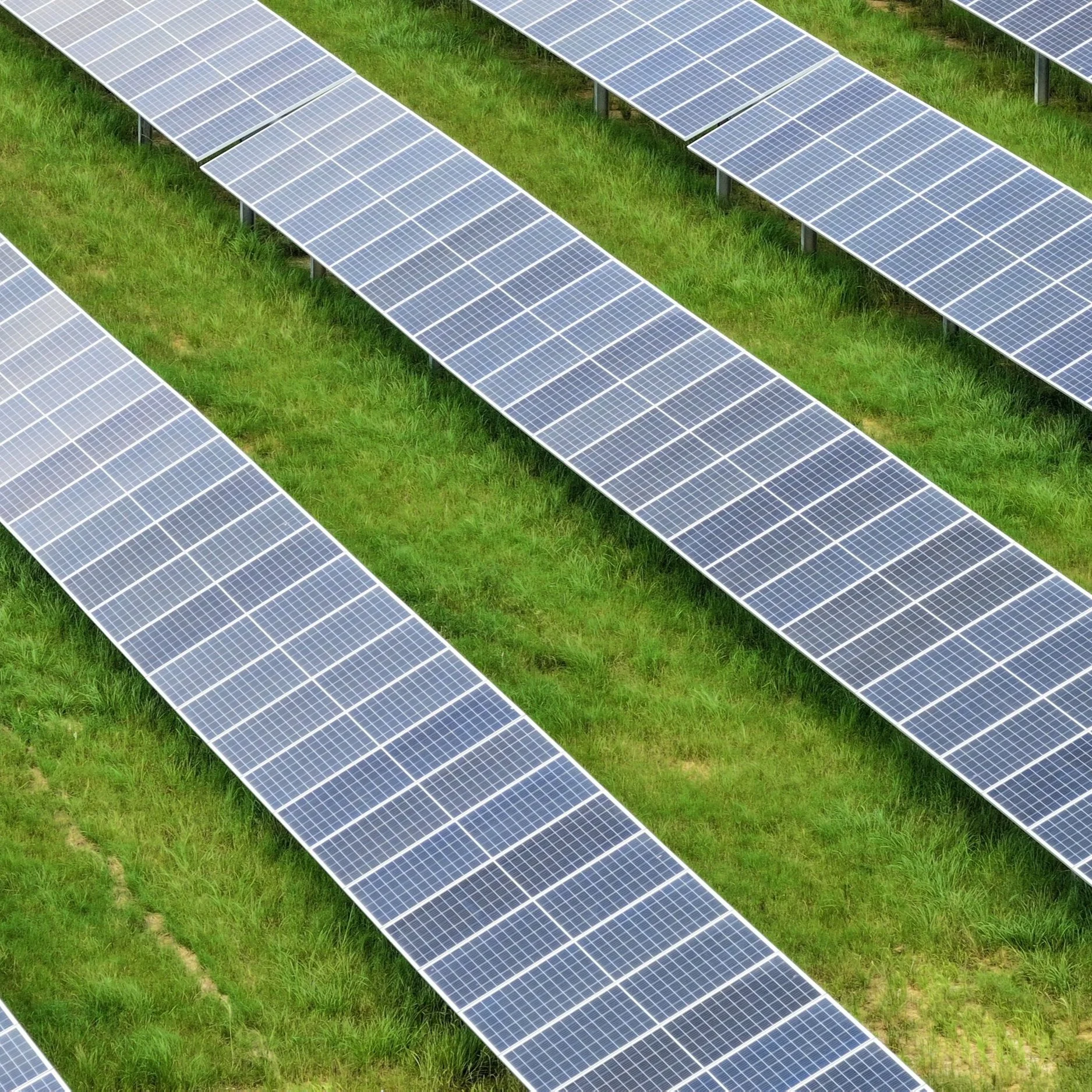 Amite Solar Energy Center Marks Milestone for NextEra Energy Resources in Louisiana