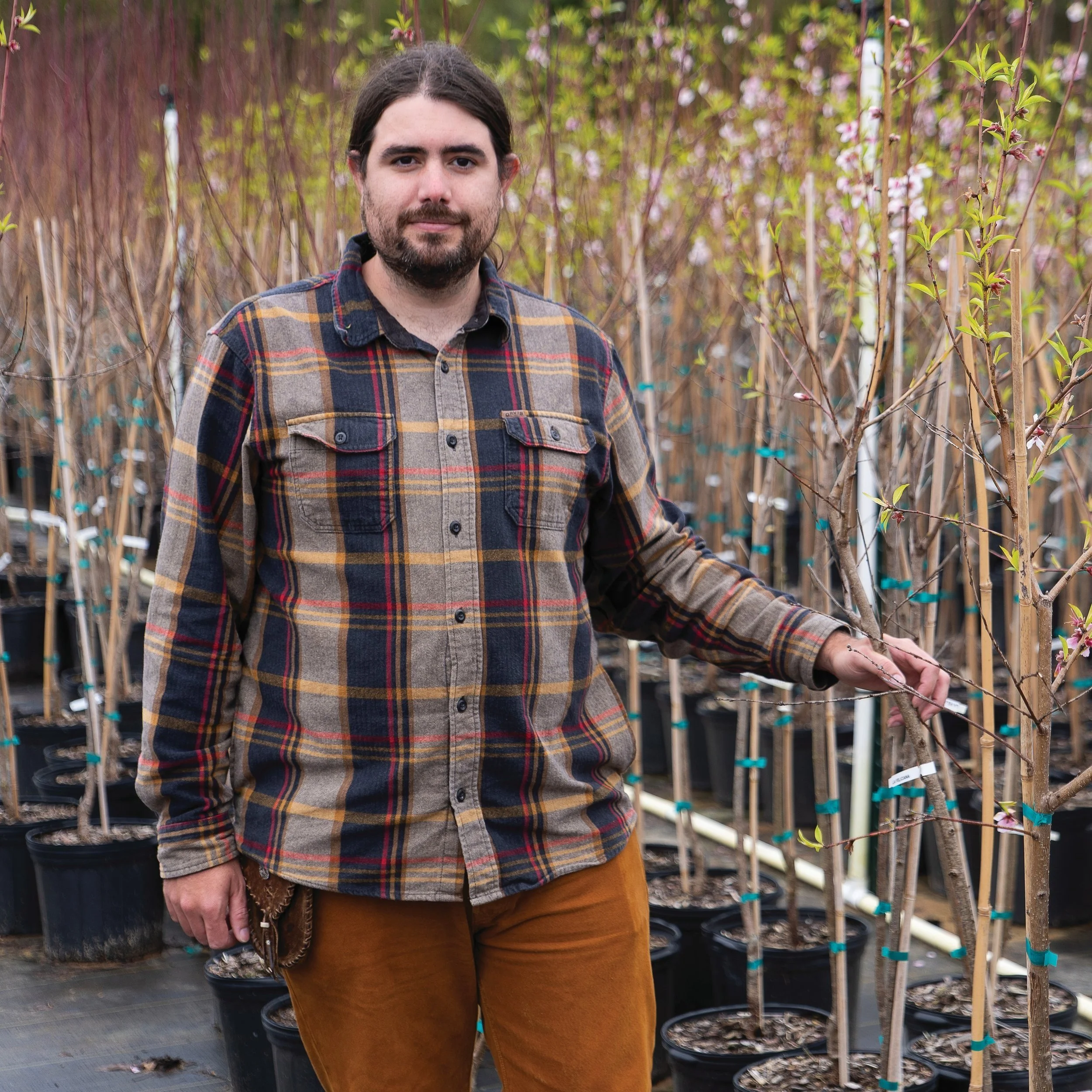 Michael Polozola:Nurturing Fruits, Pecans For Louisiana Homeowners And Industry