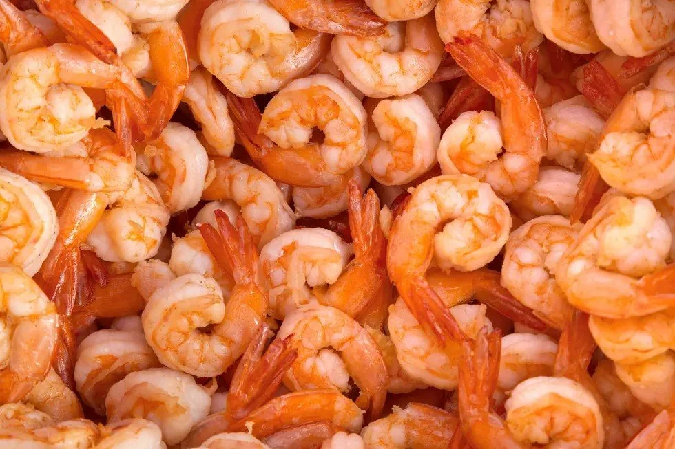 New Orleans Shrimp Festival 2025 Ensures 100% Local Gulf Shrimp, Supporting Louisiana’s Seafood Industry and Enhancing Tourism