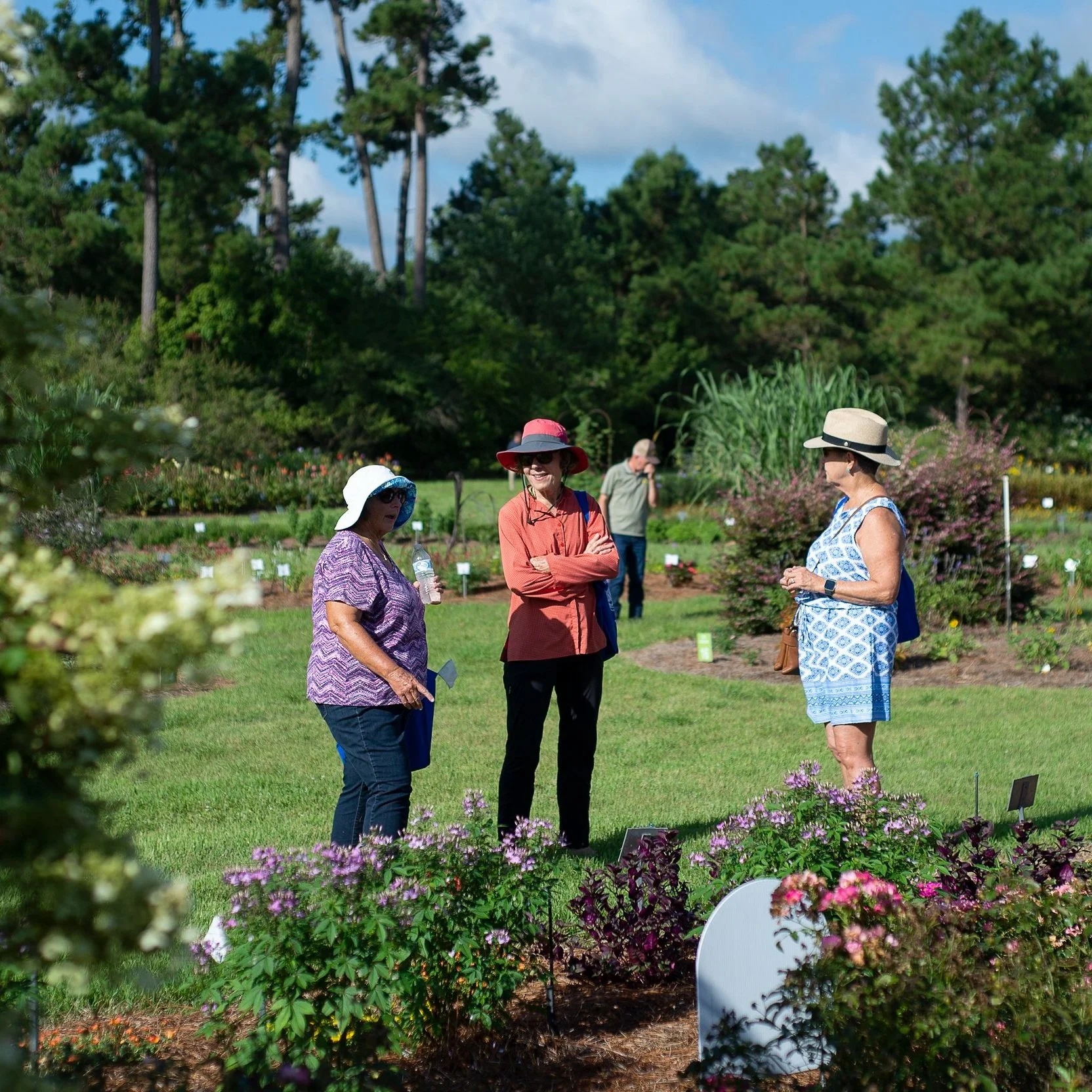 LSU AgCenter Hammond Research Station To Host Horticulture Field Day July 18