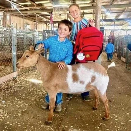 Record-Breaking Turnout at 19th Annual Watermelon Classic Livestock Show in DeRidder