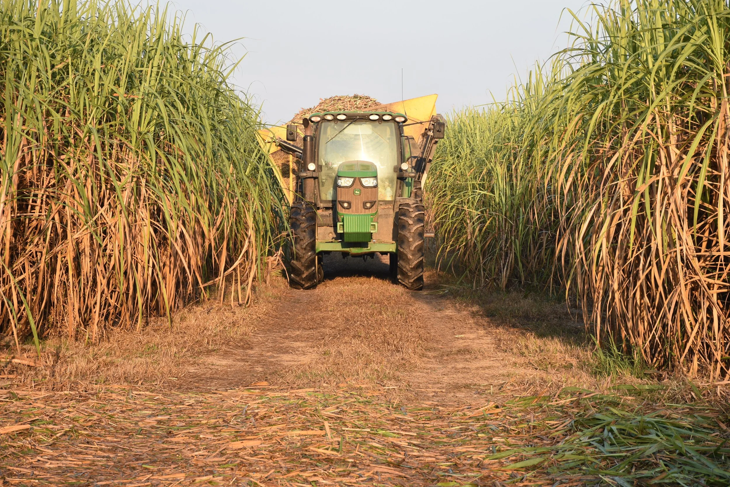 Harvest 2025: A Season to Work and Celebrate