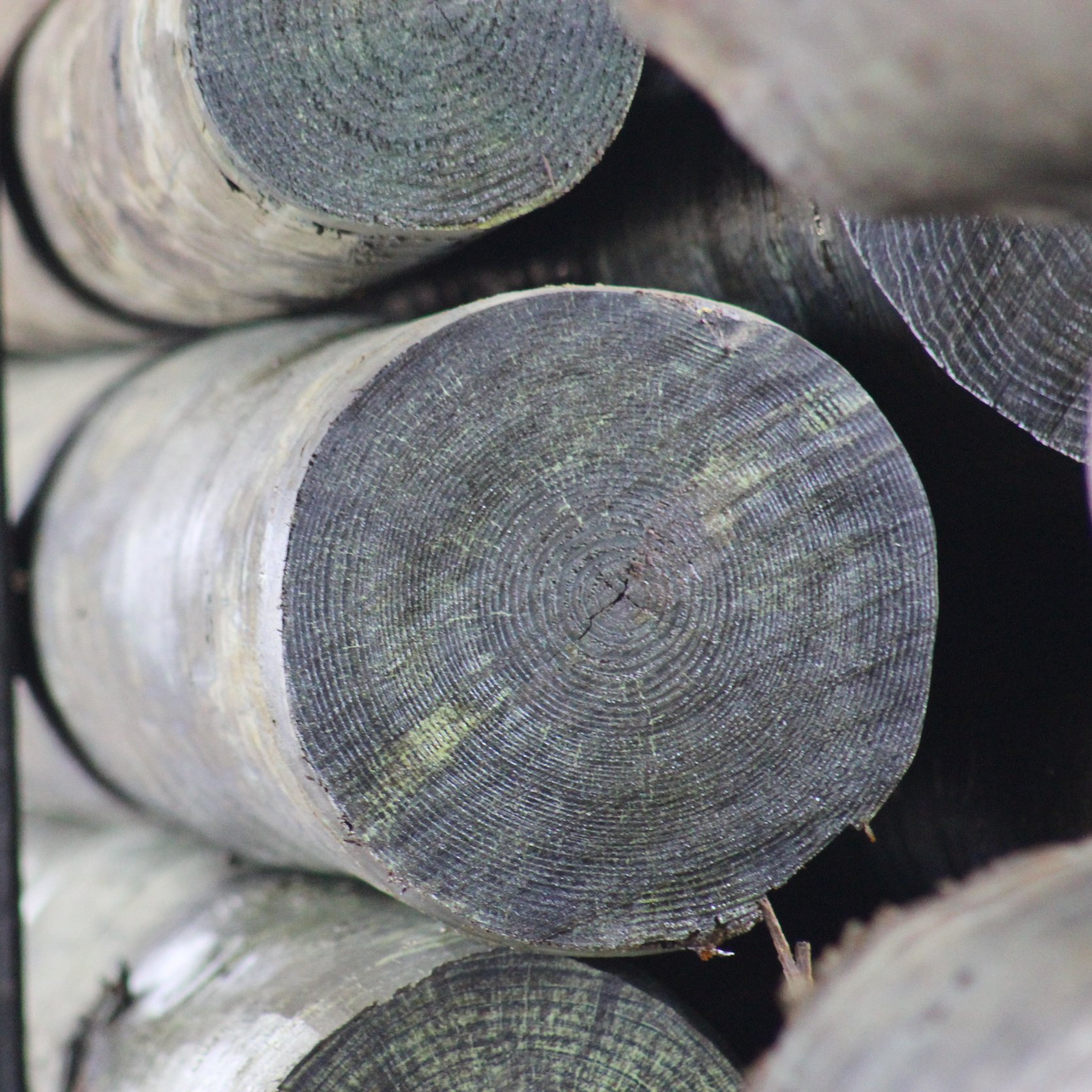Timber Market Analysis Webinar Set for October